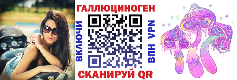 дарнет шоп Владимир Галлюциногенные грибы Psilocybine cubensis