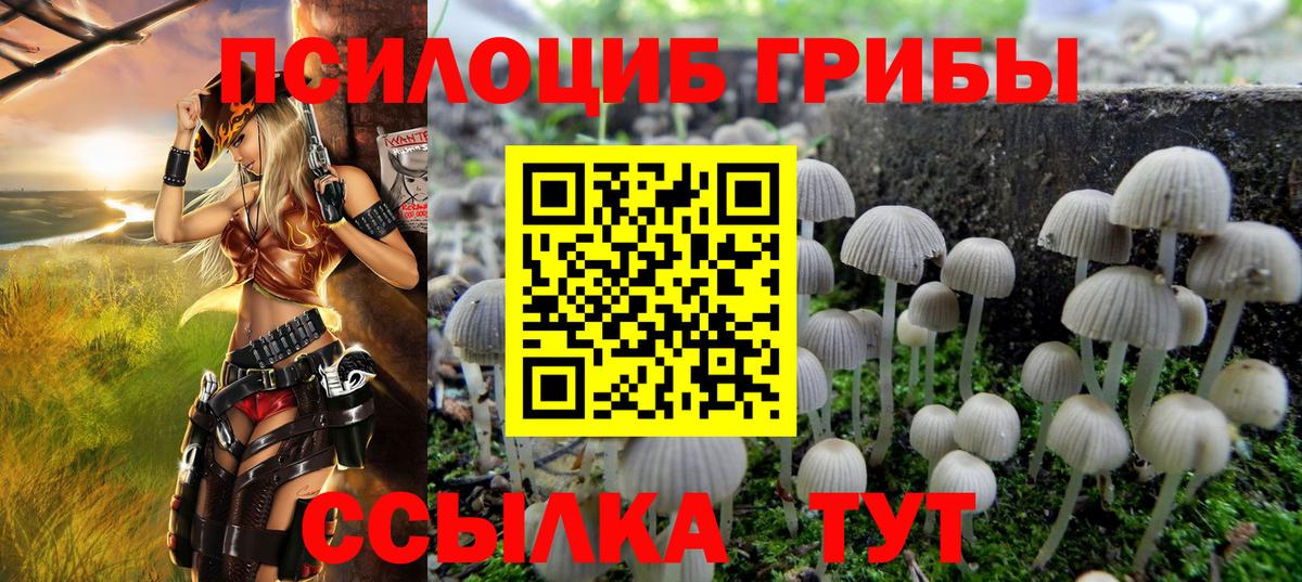 Галлюциногенные грибы ЛСД  Вход с VPN  Владимир 