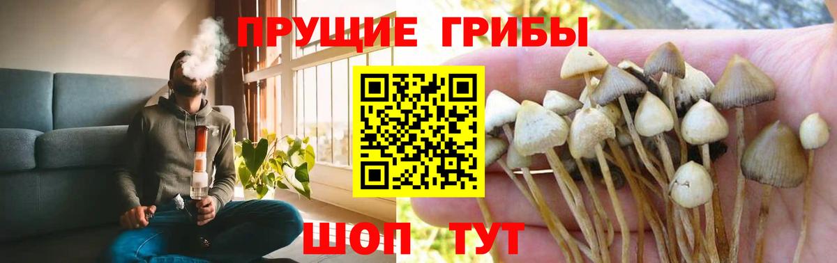 Галлюциногенные грибы Magic Shrooms Владимир
